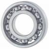 SKF/ NSK/ NTN/Timken Deep Groove Ball Bearing for Instrument, High Speed Precision Engine or Auto Parts Rolling Bearings 16001 16003 16005 16007 16009