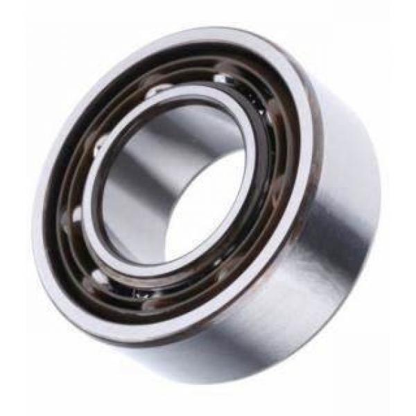 Ss440 Ss420 Stainless Steel Ball Bearing Ss6002-RS 6002RS NSK NMB NTN SKF #1 image